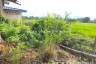Land for sale in Khlong Yong, Nakhon Pathom