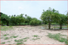 Land for sale in Nong Pla Lai, Chonburi