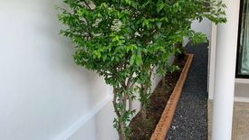 3 Bedroom House for rent in Baan Promphun Premium BeeTown, Pa Khlok, Phuket