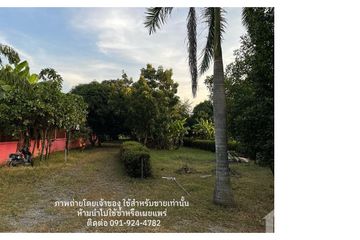 Land for sale in Ko Koet, Phra Nakhon Si Ayutthaya