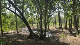 Land for sale in Sakhu, Phuket