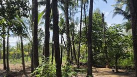 Land for sale in Sakhu, Phuket