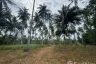 Land for sale in Mai Khao, Phuket