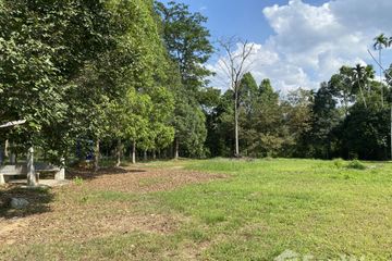 Land for sale in Khuekkhak, Phang Nga
