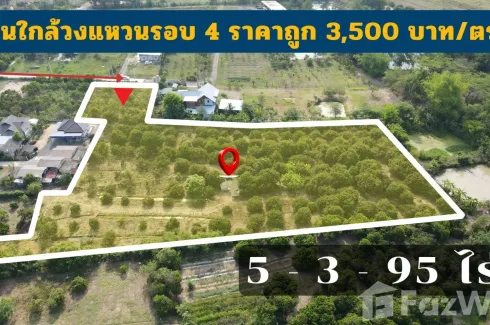 Land for sale in Huai Yap, Lamphun