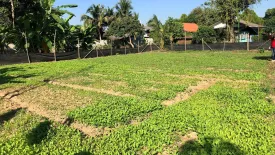 Land for sale in Tha Wang Tan, Chiang Mai