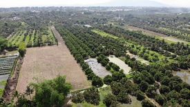 Land for sale in Yang Noeng, Chiang Mai