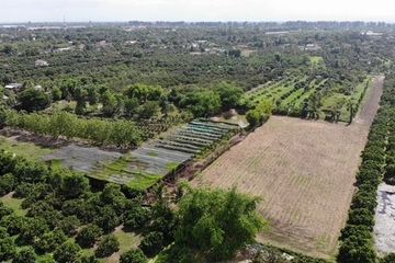 Land for sale in Yang Noeng, Chiang Mai