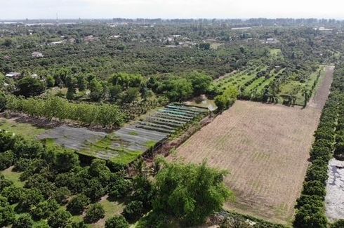 Land for sale in Yang Noeng, Chiang Mai