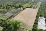 Land for sale in Yang Noeng, Chiang Mai