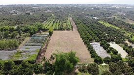 Land for sale in Yang Noeng, Chiang Mai