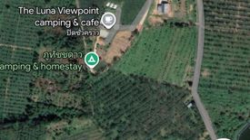 Land for sale in Kalai, Phang Nga