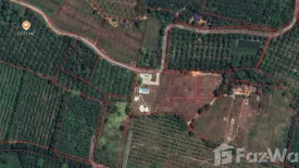 Land for sale in Lo Yung, Phang Nga