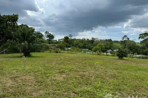 Land for sale in Lo Yung, Phang Nga