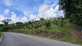 Land for sale in Khlong Khian, Phang Nga