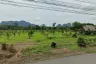 Land for sale in Krasom, Phang Nga