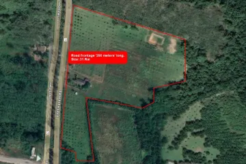 Land for sale in Krasom, Phang Nga