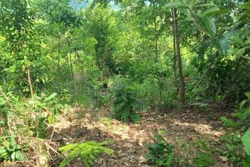 Land for sale in Lo Yung, Phang Nga