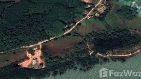 Land for sale in Ko Yao Yai, Phang Nga
