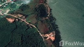 Land for sale in Ko Yao Yai, Phang Nga