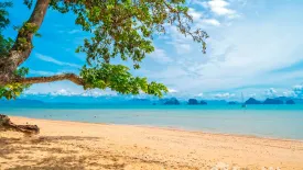 Land for sale in Ko Yao Noi, Phang Nga