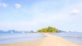 Land for sale in Ko Yao Noi, Phang Nga