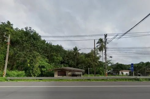 Land for sale in Lo Yung, Phang Nga