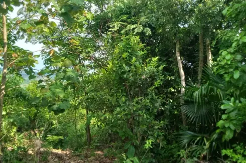 Land for sale in Lo Yung, Phang Nga