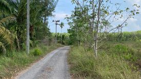 Land for sale in Lo Yung, Phang Nga