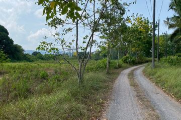 Land for sale in Lo Yung, Phang Nga