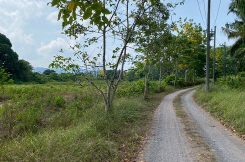 Land for sale in Lo Yung, Phang Nga