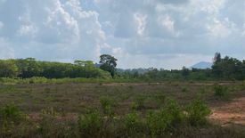 Land for sale in Lo Yung, Phang Nga