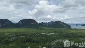 Land for sale in Khlong Khian, Phang Nga