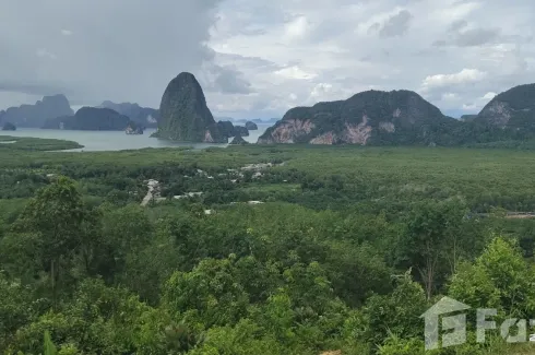 Land for sale in Khlong Khian, Phang Nga