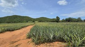 Land for sale in Sam Roi Yot, Prachuap Khiri Khan