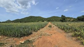 Land for sale in Sam Roi Yot, Prachuap Khiri Khan