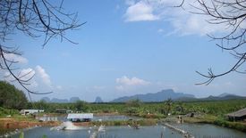 Land for sale in Tham Nam Phut, Phang Nga