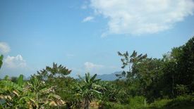 Land for sale in Tham Nam Phut, Phang Nga