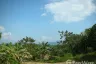 Land for sale in Tham Nam Phut, Phang Nga