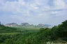 Land for sale in Khlong Khian, Phang Nga