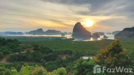 Land for sale in Tha Yu, Phang Nga
