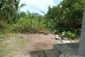 Land for sale in Sakhu, Phuket