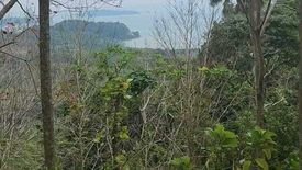 Land for sale in Lo Yung, Phang Nga
