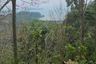 Land for sale in Lo Yung, Phang Nga