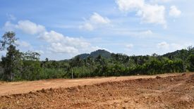 Land for sale in Tha Yu, Phang Nga