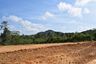Land for sale in Tha Yu, Phang Nga