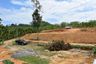 Land for sale in Tha Yu, Phang Nga