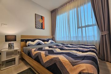 Condo for rent in Plum Condo Sukhumvit 62, Bang Chak, Bangkok near BTS Bang Chak