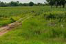 Land for sale in Non Daeng, Nakhon Ratchasima