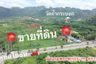 Land for sale in Khun Khlon, Saraburi